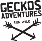 Geckos